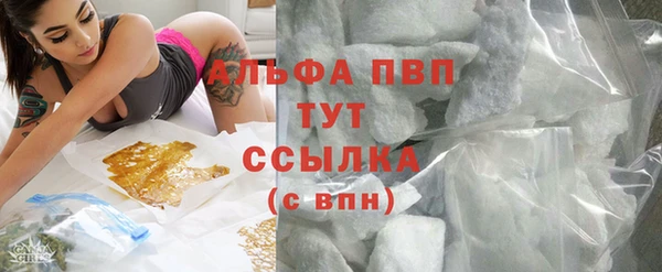 прущий лед Михайлов