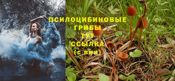 амф Михайловка